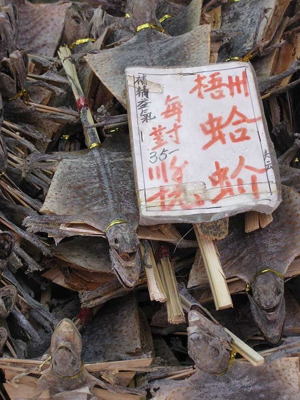 Trứng vịt lộn đứng đầu trong những món ăn kinh dị nhất thế giới - ảnh 4