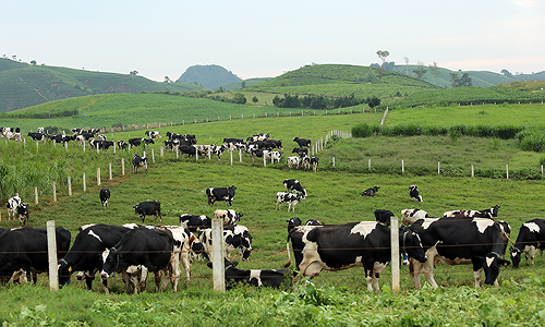 Thương vụ nghìn tỷ GTN của Vinamilk: Đích ngắm Mộc Châu Milk nhưng cũng đừng quên Vinatea - ảnh 2