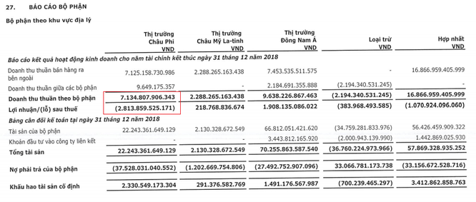 Viettel Global báo lỗ ròng 1.070 tỷ đồng năm 2018, doanh thu chủ yếu đến từ thị trường Đông Nam Á - ảnh 1