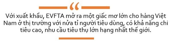 EVFTA - để đừng chỉ là những giấc mơ - ảnh 1