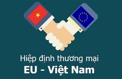 EVFTA - để đừng chỉ là những giấc mơ - ảnh 3