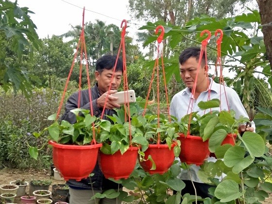 Điểm báo ngày 14.11.2017: Những gì liên quan đến lợi ích quốc gia chưa công khai thì phải bảo mật - ảnh 5