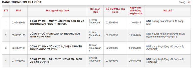 Lý Nhã Kỳ đã thôi chức Tổng Giám đốc tại “hạt nhân” LYNK Group - ảnh 2