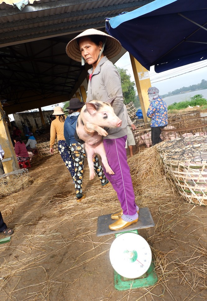 Thú vị khu chợ phụ nữ bồng heo độc nhất Việt Nam - ảnh 4