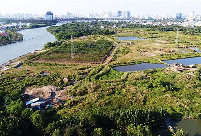Chuyển nhượng 32ha đất cho Quốc Cường Gia Lai: Phó bí thư Tất Thành Cang có dính líu - ảnh 1