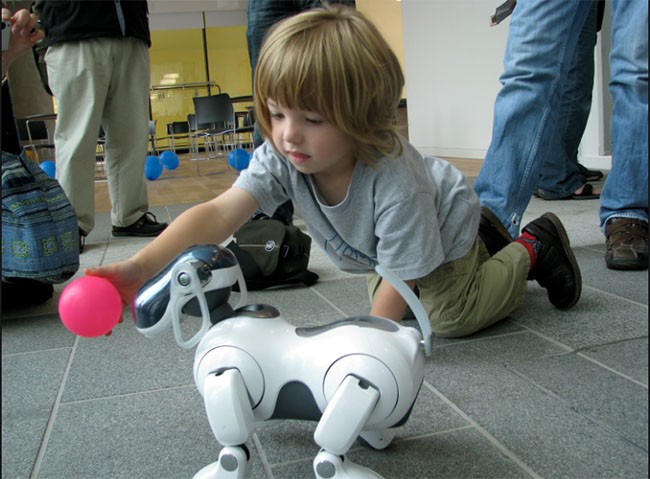Robot sẽ dần thay thế thú cưng trong tương lai? - ảnh 1