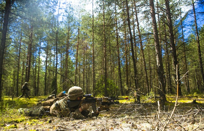 Chùm ảnh NATO phô diễn sức mạnh quân sự trong diễn tập Saber Strike 2015 ảnh 18