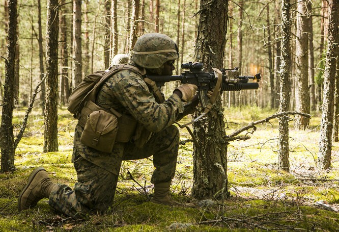 Chùm ảnh NATO phô diễn sức mạnh quân sự trong diễn tập Saber Strike 2015 ảnh 19