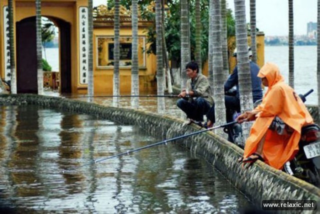 Thủy giới - cuộc đời vẫn đẹp sao ảnh 19