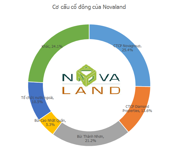 Novaland “lộ mình”: Những thông tin nên biết! - ảnh 2