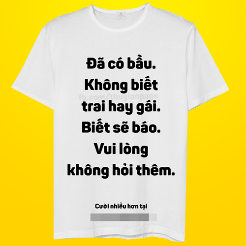 Dân mạng phát cuồng với bộ áo “xin đừng hỏi thêm“ ảnh 3
