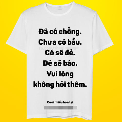 Dân mạng phát cuồng với bộ áo “xin đừng hỏi thêm“ ảnh 5