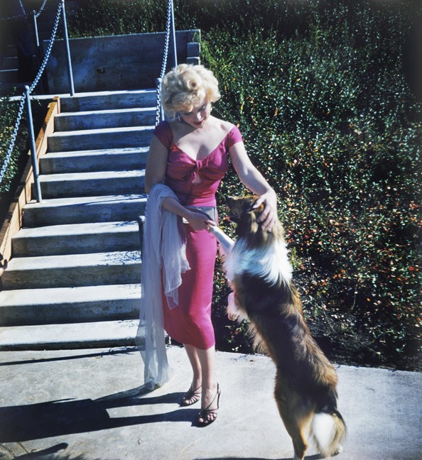 Những bức ảnh để đời của 'biểu tượng sex' Marilyn Monroe ảnh 1