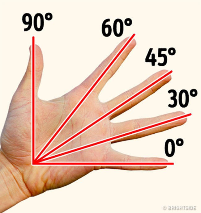 20 sự thật thú vị trong cuộc sống mà không phải ai cũng biết ảnh 1