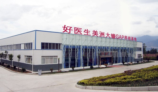 Trung Quốc sử dụng AI trong trang trại chăn nuôi 6 tỷ con gián ảnh 1