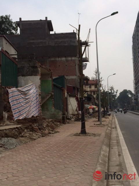 ... đủ hình thù, cao thấp khác nhau,