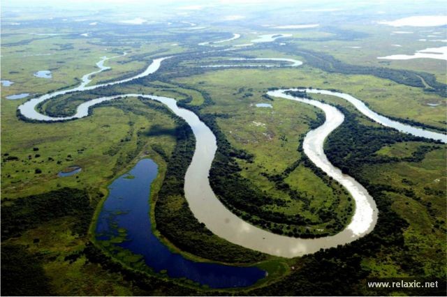 Kỳ thú khu tự nhiên hoang dã Pantanal - Brazil ảnh 1