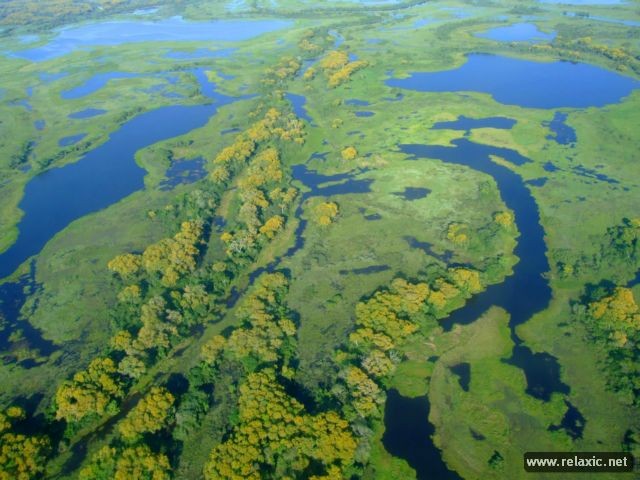 Kỳ thú khu tự nhiên hoang dã Pantanal - Brazil ảnh 14