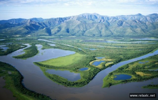 Kỳ thú khu tự nhiên hoang dã Pantanal - Brazil ảnh 20