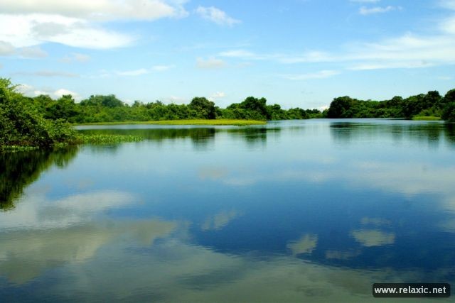 Kỳ thú khu tự nhiên hoang dã Pantanal - Brazil ảnh 21