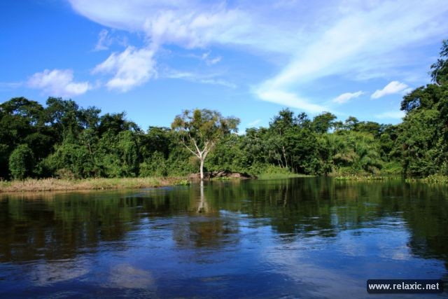 Kỳ thú khu tự nhiên hoang dã Pantanal - Brazil ảnh 23