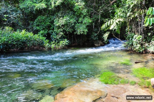 Kỳ thú khu tự nhiên hoang dã Pantanal - Brazil ảnh 24
