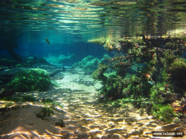 Kỳ thú khu tự nhiên hoang dã Pantanal - Brazil ảnh 33