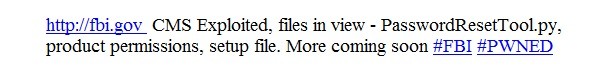 Hacker đe doạ tấn công tài nguyên mạng của FBI ảnh 1