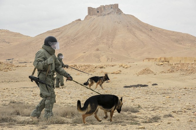 Trận chiến Palmyra: Nga kêu gọi cứu thành phố "đầy ắp bom mìn" ảnh 3