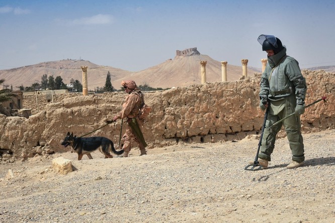 Trận chiến Palmyra: Nga kêu gọi cứu thành phố "đầy ắp bom mìn" ảnh 6