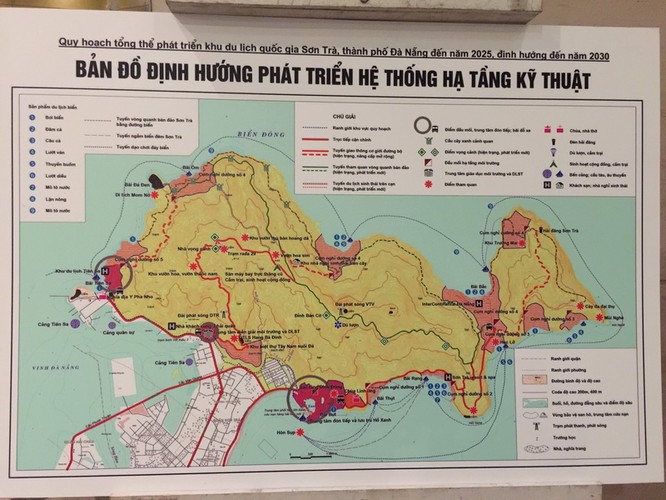Phó Thủ tướng Vũ Đức Đam nói về quy hoạch bán đảo Sơn Trà ảnh 1