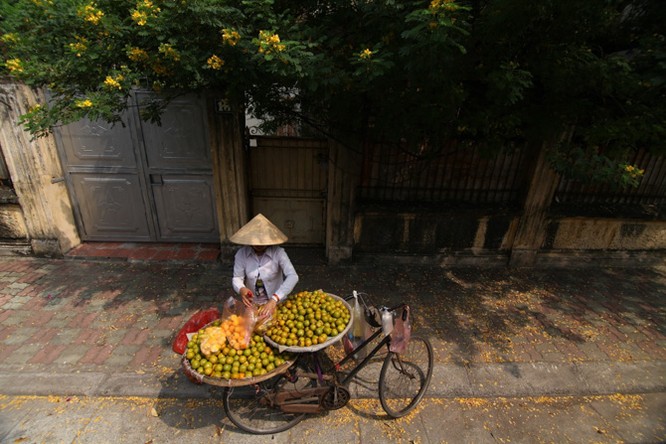 Ảnh nụ cười thu Hà Nội đoạt giải đặc biệt tại Canon PhotoMarathon 2016 ảnh 5