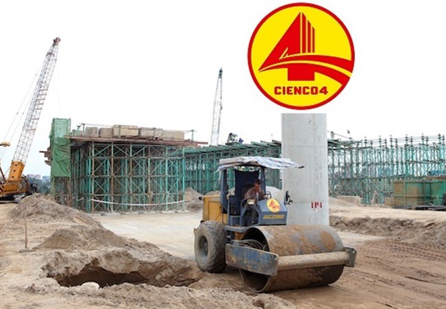 Cổ phần hóa DNNN và chuyện doanh nhân đi làm chính khách ảnh 1