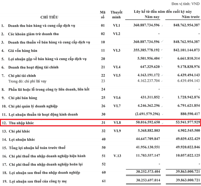 Khoản thu nhập 'lạ' giúp nhà phân phối Canon Việt Nam Lê Bảo Minh thoát lỗ Quý 4/2020 ảnh 1