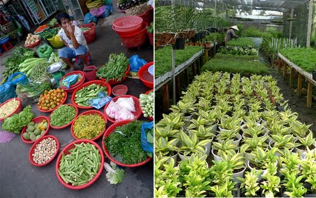 Lang thang sông nước miền Tây ảnh 4