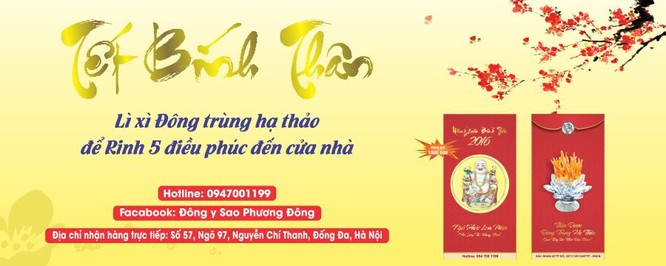 5 mẹo chọn đông trùng hạ thảo chính hiệu ảnh 2