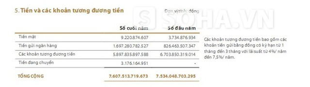Vingroup có bao nhiêu tiền mặt, tiền gửi ngân hàng? ảnh 2