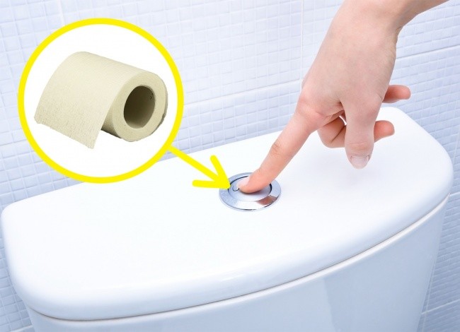 10 mẹo sử dụng nhà vệ sinh công cộng an toàn không phải ai cũng biết - ảnh 4