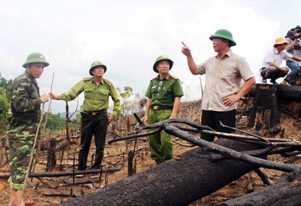 hước, Quảng Nam) để trồng keo, Phó Chủ tịch UBND tỉnh Quảng Nam Lê Trí Thanh yêu cầu cơ quan Công an khẩn trương điều ra, khởi tố vụ án (ảnh Lê Phong)