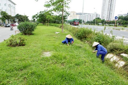 Ảnh minh họa, nguồn internet