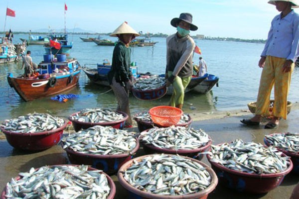 Tiếp tục ngưng đánh bắt tầng đáy từ 20km trở vào bờ biển miền Trung