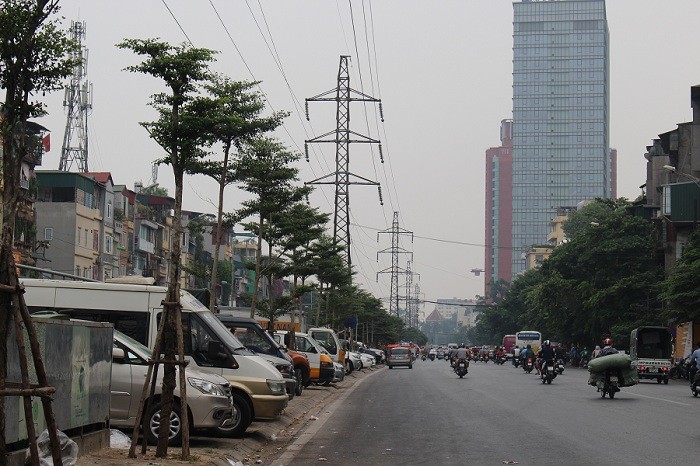 Hà Nội trồng bàng Đài Loan dưới lưới điện 110KV.