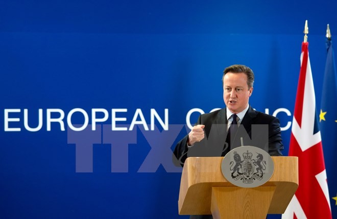 Thủ tướng Anh David Cameron. (Nguồn: AFP/TTXVN)