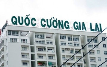 Quốc Cường Gia Lai lãi 48 tỷ đồng trong nửa đầu năm 2020 (Nguồn: QCG)