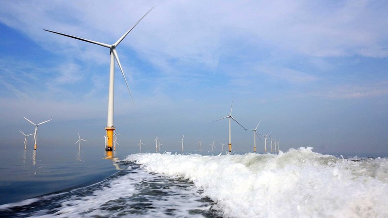BCG Energy huy động 1.000 tỉ đồng đầu tư vào dự án điện gió hơn 5.500 tỉ đồng ở Cà Mau (Ảnh: Internet)