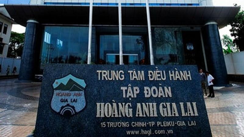 Chăn nuôi heo tiếp tục mang về cho HAG gần 183 tỉ đồng doanh thu trong quý 3/2021 (Ảnh: Internet)