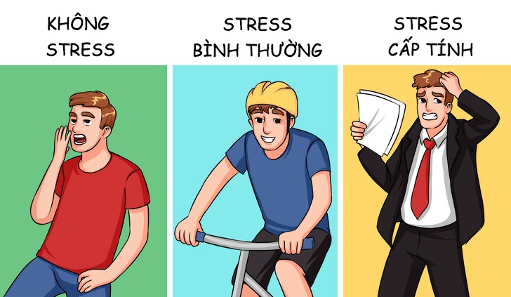 Các mức độ stress và ảnh hưởng của chúng tới cơ thể con người