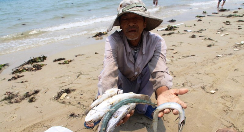 Báo Nga: Việt Nam chọn cá tôm hay là thép?