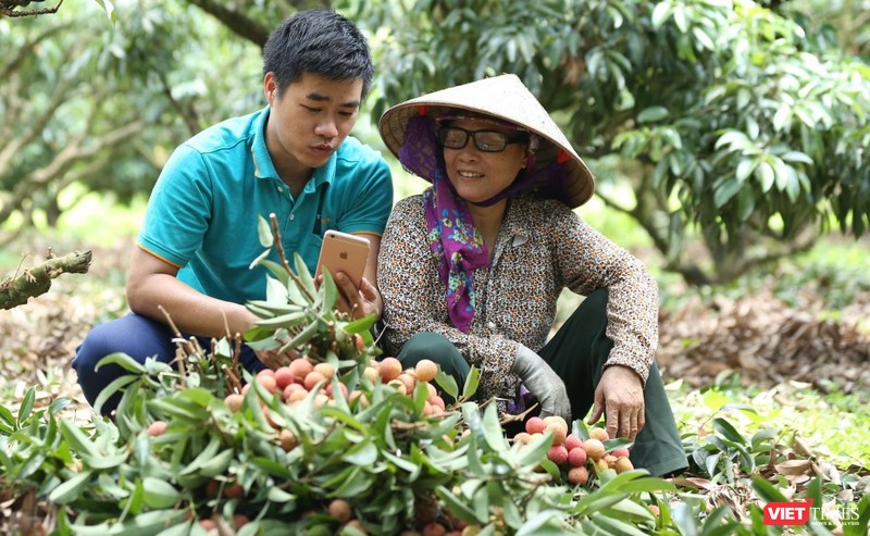 Người dân vùng sâu, vùng xa, bà con dân tộc thiểu số có thể chủ động đưa sản phẩm lên bán lại các trang thương mại điện tử để tránh bị tiểu thương ép giá.