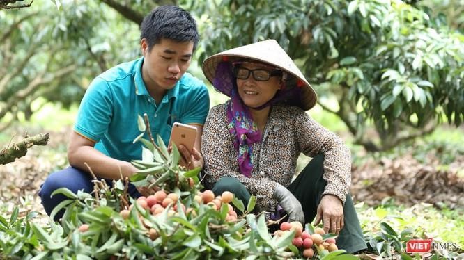 Mỗi hộ gia đình sẽ tạo gian hàng và chủ động đăng bán các sản phẩm trên sàn thương mại điện tử